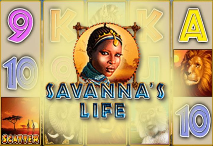Savanna’s Life