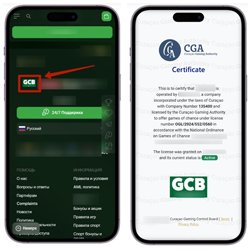 Подтверждение лицензии