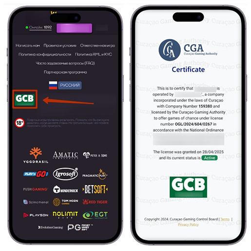 Проверка лицензии