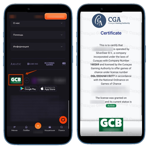 Подтверждение лицензии