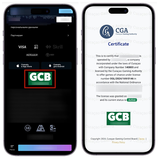 Данные о лицензии