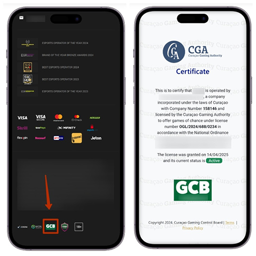 Проверка лицензии