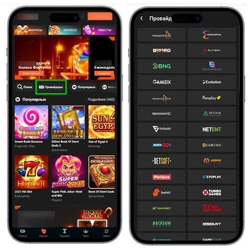 Поиск слотов по провайдерам