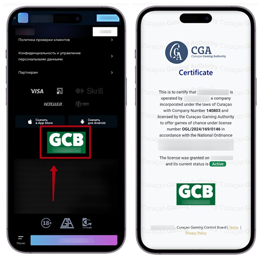 Проверка лицензии