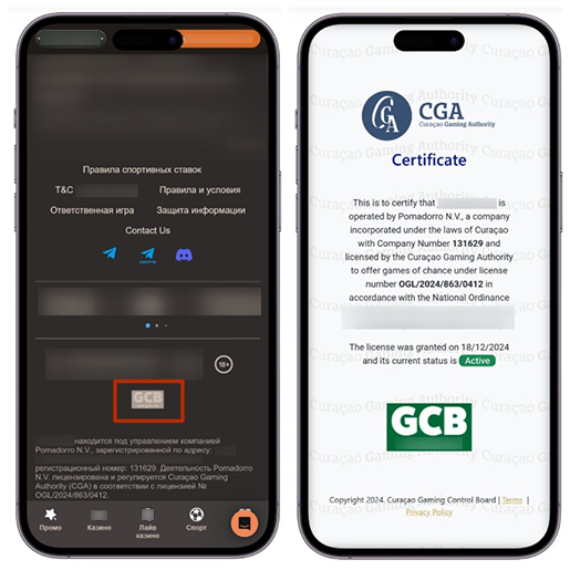 Подтверждение лицензии