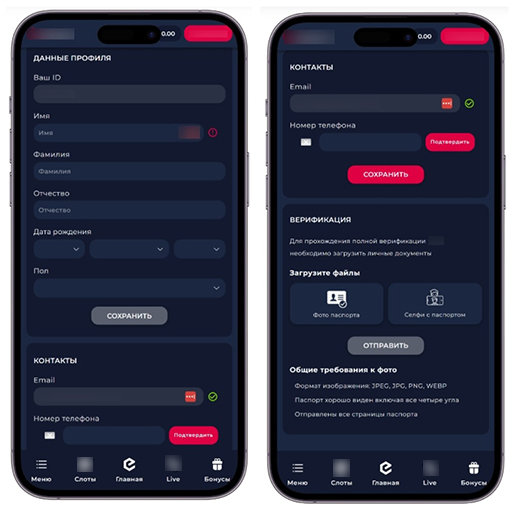 Прохождение верификации