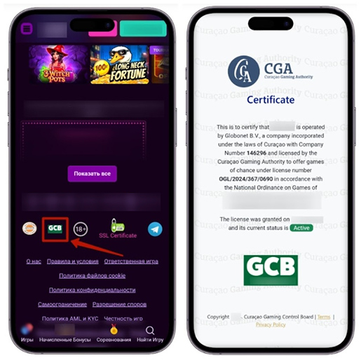 Проверка лицензии