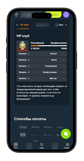 Программа лояльности