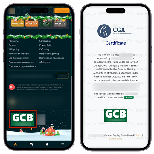 Проверка лицензии