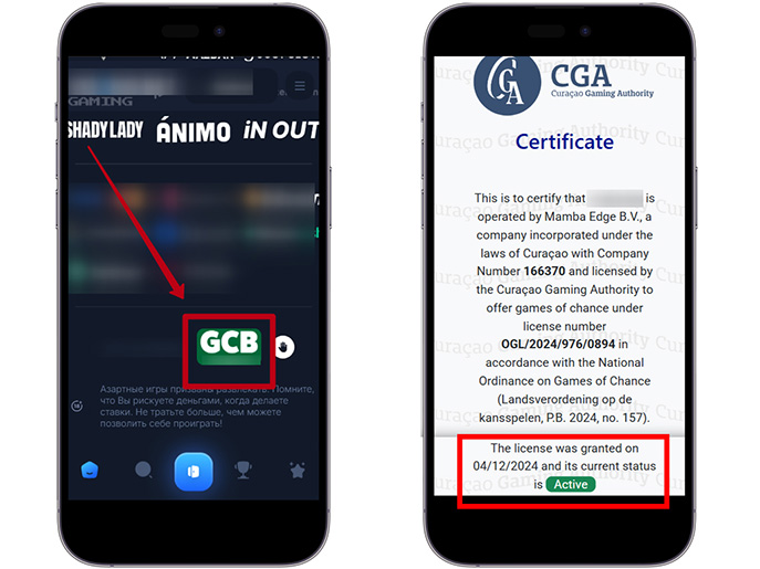 Проверка лицензии