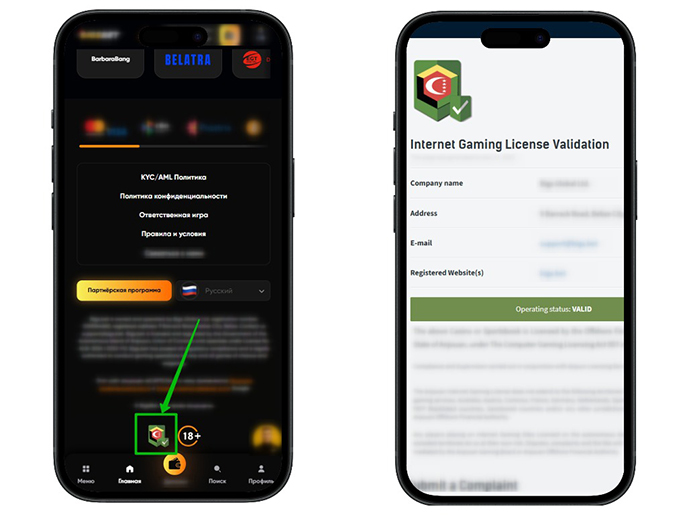 Проверка статуса