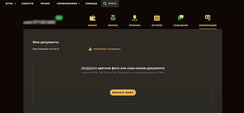 Подтверждение личности