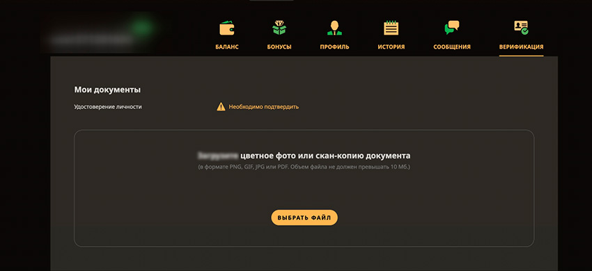 Верификация профиля